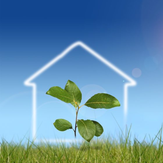initiative-regenerative-alternative-building (1)